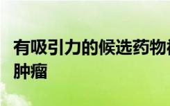 有吸引力的候选药物被确定针对神经胶质瘤脑肿瘤