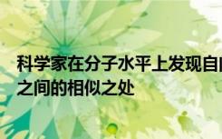 科学家在分子水平上发现自闭症精神分裂症和双相情感障碍之间的相似之处