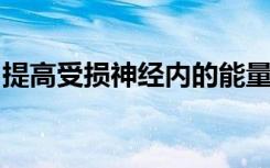 提高受损神经内的能量水平可以帮助它们治愈