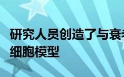 研究人员创造了与衰老相关的结肠癌风险的新细胞模型