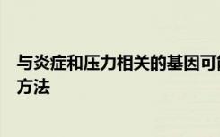 与炎症和压力相关的基因可能有助于量身定制抑郁症的治疗方法