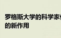 罗格斯大学的科学家们发现了大脑中感觉信号的新作用