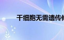 干细胞无需遗传修饰即可重新编程