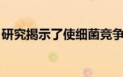 研究揭示了使细菌竞争并建立共生的分子机制