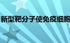 新型靶分子使免疫细胞得以捕捉致命的脑肿瘤