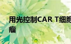 用光控制CAR T细胞选择性破坏小鼠皮肤肿瘤