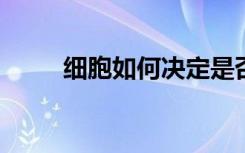 细胞如何决定是否接受细胞外包装