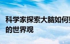 科学家探索大脑如何整合感官信息以建立我们的世界观