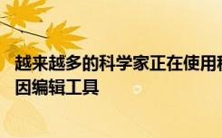 越来越多的科学家正在使用称为CRISPR Cas9的强大的新基因编辑工具