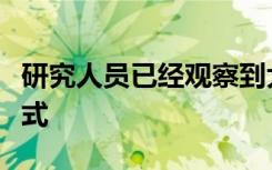 研究人员已经观察到大脑如何学习神经活动模式