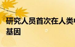 研究人员首次在人类中鉴定出常见的肌肉力量基因