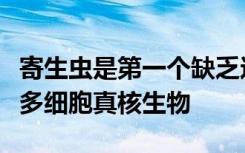 寄生虫是第一个缺乏这种复杂生命特征的已知多细胞真核生物