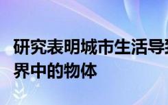 研究表明城市生活导致您的大脑停止识别自然界中的物体