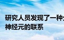 研究人员发现了一种分子机制可通过经验改变神经元的联系