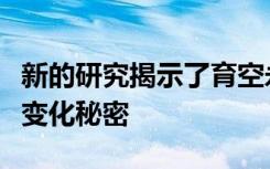 新的研究揭示了育空永久冻土带中隐藏的气候变化秘密