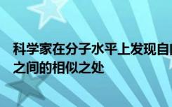 科学家在分子水平上发现自闭症精神分裂症和双相情感障碍之间的相似之处