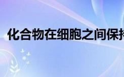 化合物在细胞之间保持平衡并促进肺部健康