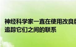 神经科学家一直在使用改良版的狂犬​​病毒来标记神经元并追踪它们之间的联系