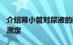 介绍肾小管对尿液的酸碱调节功能H总排泄量测定