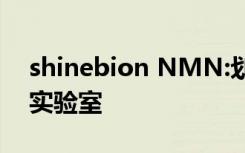 shinebion NMN:划时代逆转衰老技术走出实验室