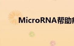 MicroRNA帮助癌症逃避免疫系统