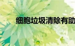 细胞垃圾清除有助于创建新的神经元