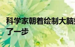 科学家朝着绘制大脑如何存储记忆的方向迈出了一步