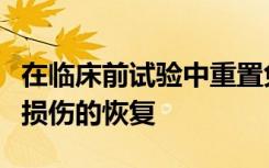 在临床前试验中重置免疫细胞可改善创伤性脑损伤的恢复