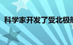 科学家开发了受北极熊启发的新型绝缘材料