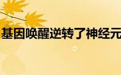 基因唤醒逆转了神经元中的普拉德威利综合症