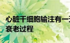 心脏干细胞输注有一天可以帮助逆转人心脏的衰老过程