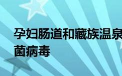 孕妇肠道和藏族温泉DNA中发现巨大的食细菌病毒