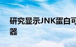 研究显示JNK蛋白可作为突触中的压力传感器