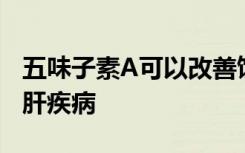 五味子素A可以改善饮食引起的非酒精性脂肪肝疾病