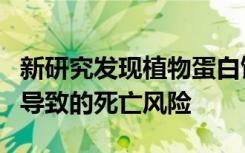 新研究发现植物蛋白饮食可以降低因任何原因导致的死亡风险