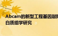 Abcam的新型工程基因敲除细胞裂解物可用于可重现的蛋白质组学研究