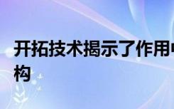 开拓技术揭示了作用中的帕金森氏病蛋白的结构