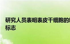 研究人员表明表皮干细胞的糖基转移可能是衰老的潜在生物标志