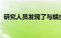 研究人员发现了与蠕虫健康老化相关的基因