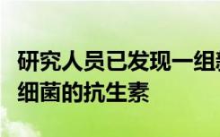 研究人员已发现一组新的具有独特方法来攻击细菌的抗生素