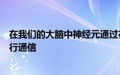 在我们的大脑中神经元通过在突触的连接处发送化学信号进行通信