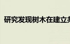 研究发现树木在建立共生关系时会注意气候