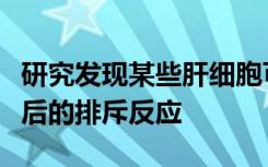 研究发现某些肝细胞可能有助于预防器官移植后的排斥反应