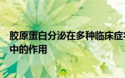 胶原蛋白分泌在多种临床症状中以及在新发现的遗传综合症中的作用