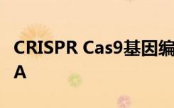 CRISPR Cas9基因编辑技术只能用于操纵DNA