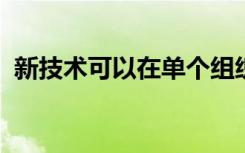 新技术可以在单个组织样本中标记各种分子