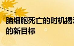 脑细胞死亡的时机揭示了阿尔茨海默氏症治疗的新目标