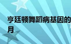 亨廷顿舞蹈病基因的活性在小鼠中抑制了6个月