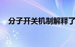 分子开关机制解释了突变如何缩短生物钟