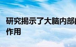 研究揭示了大脑内部的网络在维持意识中起着作用